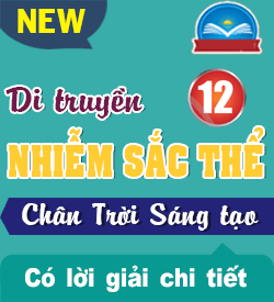 Di truyền Nhiễm sắc thể (CTST)